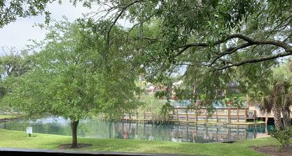 One block to Beach! Clean, Bright, newly renovated 3BR 2BA Flat