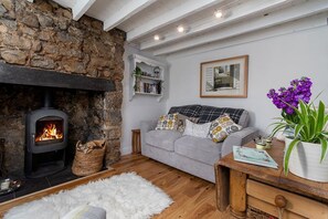 TV, fireplace, DVD player - Red Robin Cottage - One Bedroom Cottage, Sleeps 2 (Brynsiencyn)
