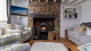A cozy living room with a stone fireplace, two plaid sofas, a white fluffy rug, and a bookshelf with books and plants. - Red Robin Cottage - One Bedroom Cottage, Sleeps 2 (Brynsiencyn)