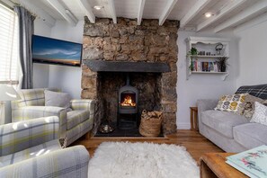 Televisión, chimenea y reproductor de DVD