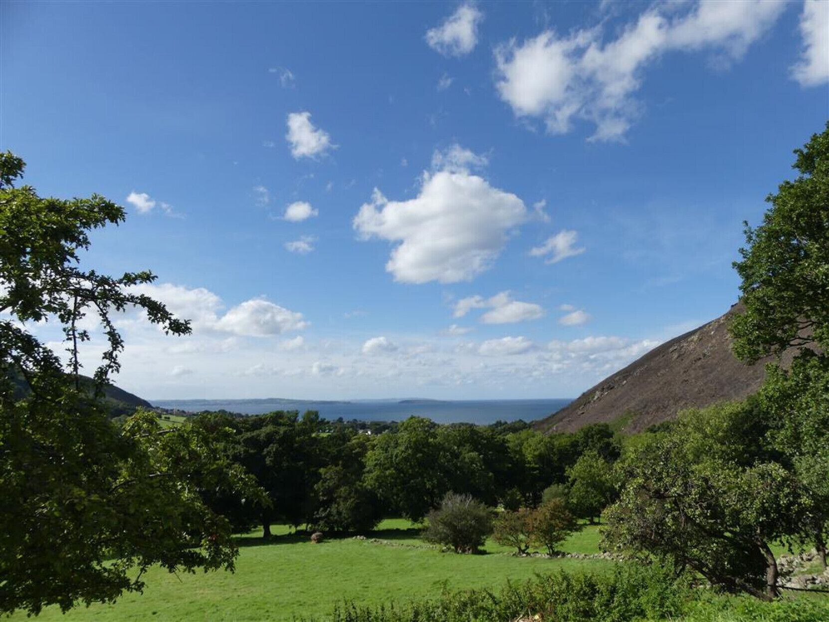A lush green landscape with trees and a hill in the background.