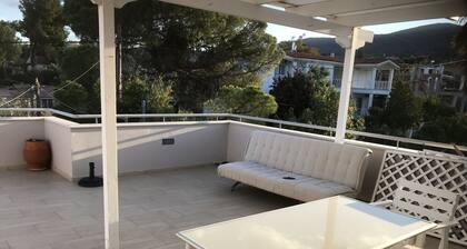 Beautiful Spacious apt in Nea Makri