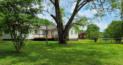 3. Privacy on Browns Valley