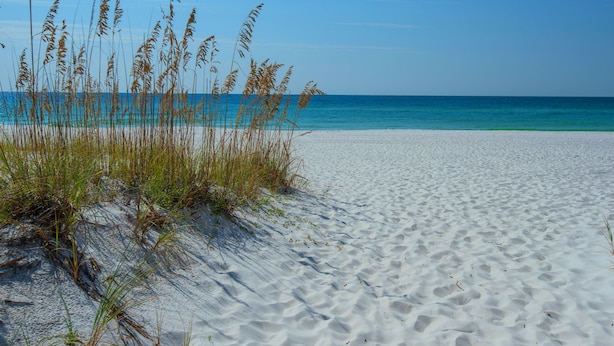 Ein Sandstrand mit hohem Gras und blauem Himmel.