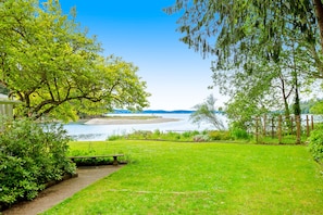 Un'area verde con una panchina e un sentiero che conduce a uno specchio d'acqua.