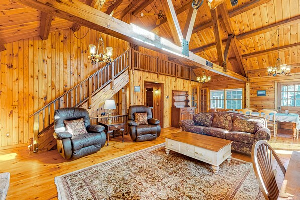 Televisión, chimenea, reproductor de DVD y libros 