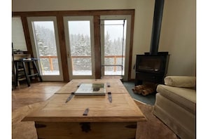 TV, fireplace, books
