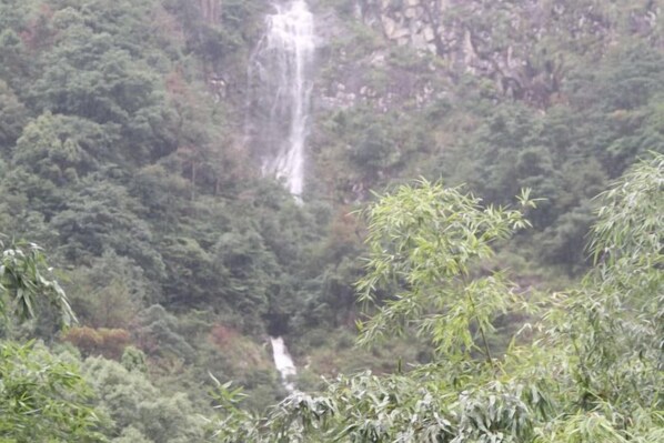 A waterfall surrounded by dense forest.