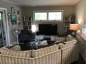 Smart TV, chimenea, libros, estéreo