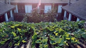 A traditional building with tiled roofs and a garden area with leafy plants. - Sanyuesan International Youth Hostel (Pingyao County)