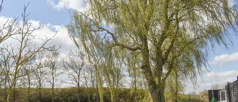 Overnatningsstedets område