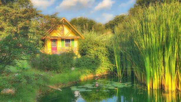 A house surrounded by lush greenery and a pond with lily pads. - Aschenputtel Cottage (#4) (Fredericksburg)