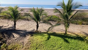 Ein Strand mit Palmen und freiem Blick auf das Meer.