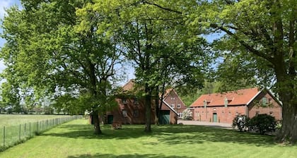 NEW Coastal love Friesland