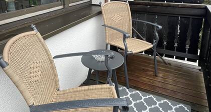 Cozy apartment 5 minutes walk to the ski lift