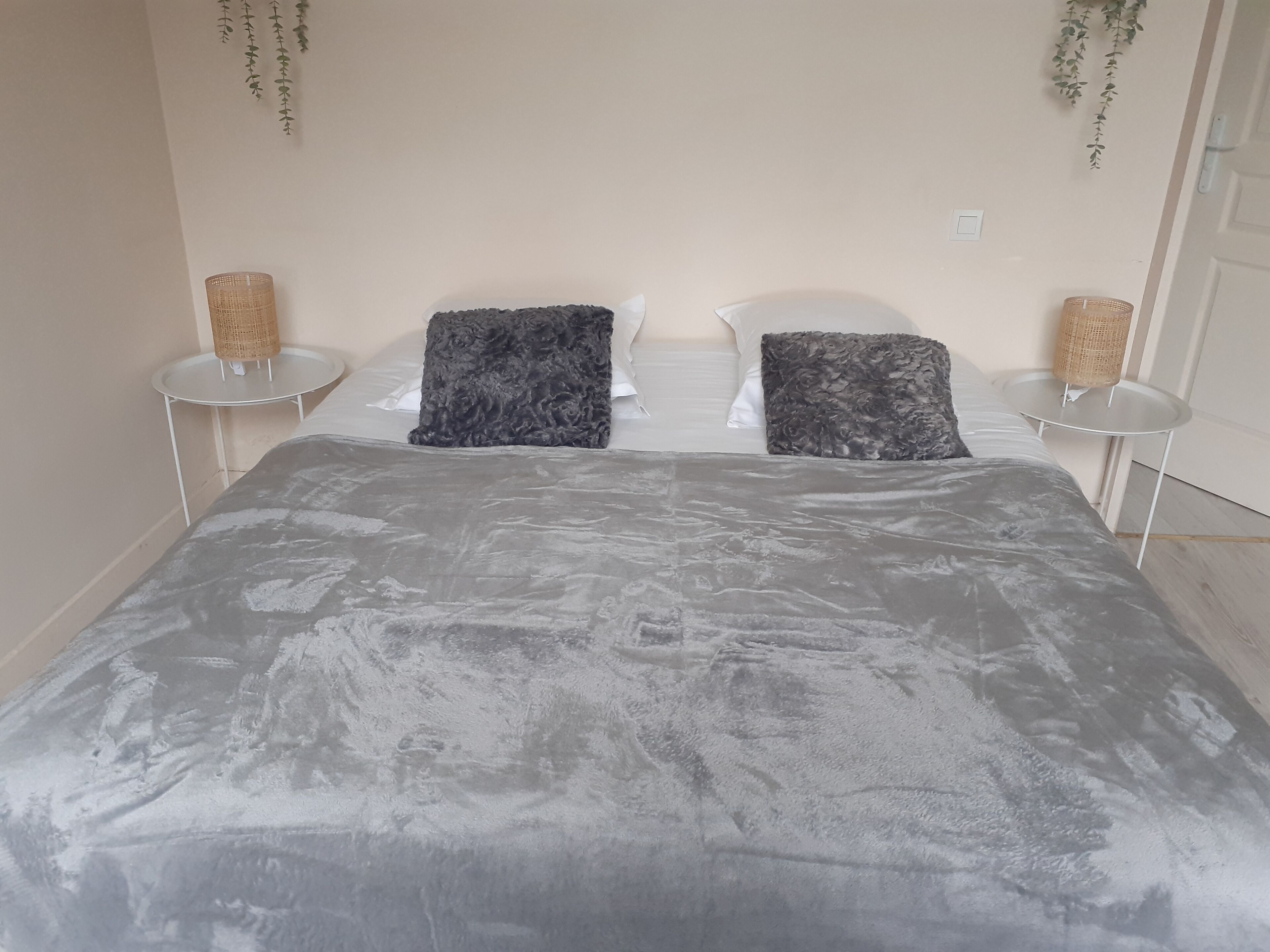 Cottage for 8 people in the city center, 1 km from the Château de Chenonceau
