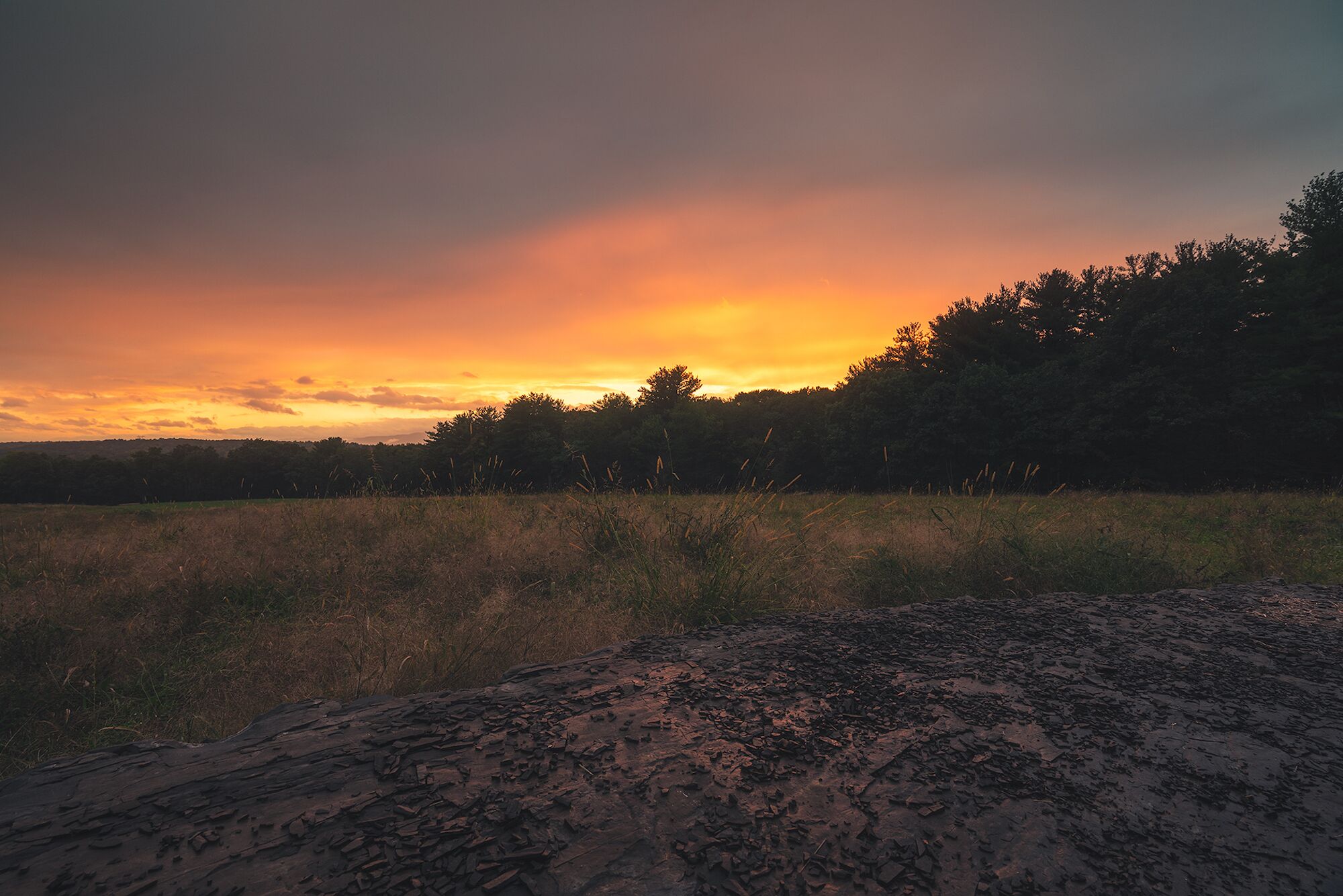 A sunset over a field with trees in the distance.