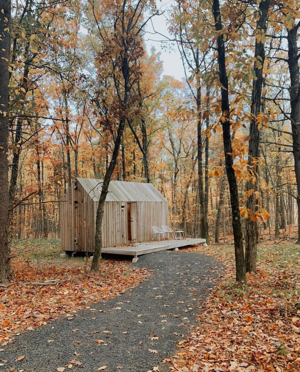A rustic wooden cabin with a porch, surrounded by a forest with autumn foliage.