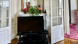 Una habitación con un espejo grande, una araña, un televisor y una planta en maceta.