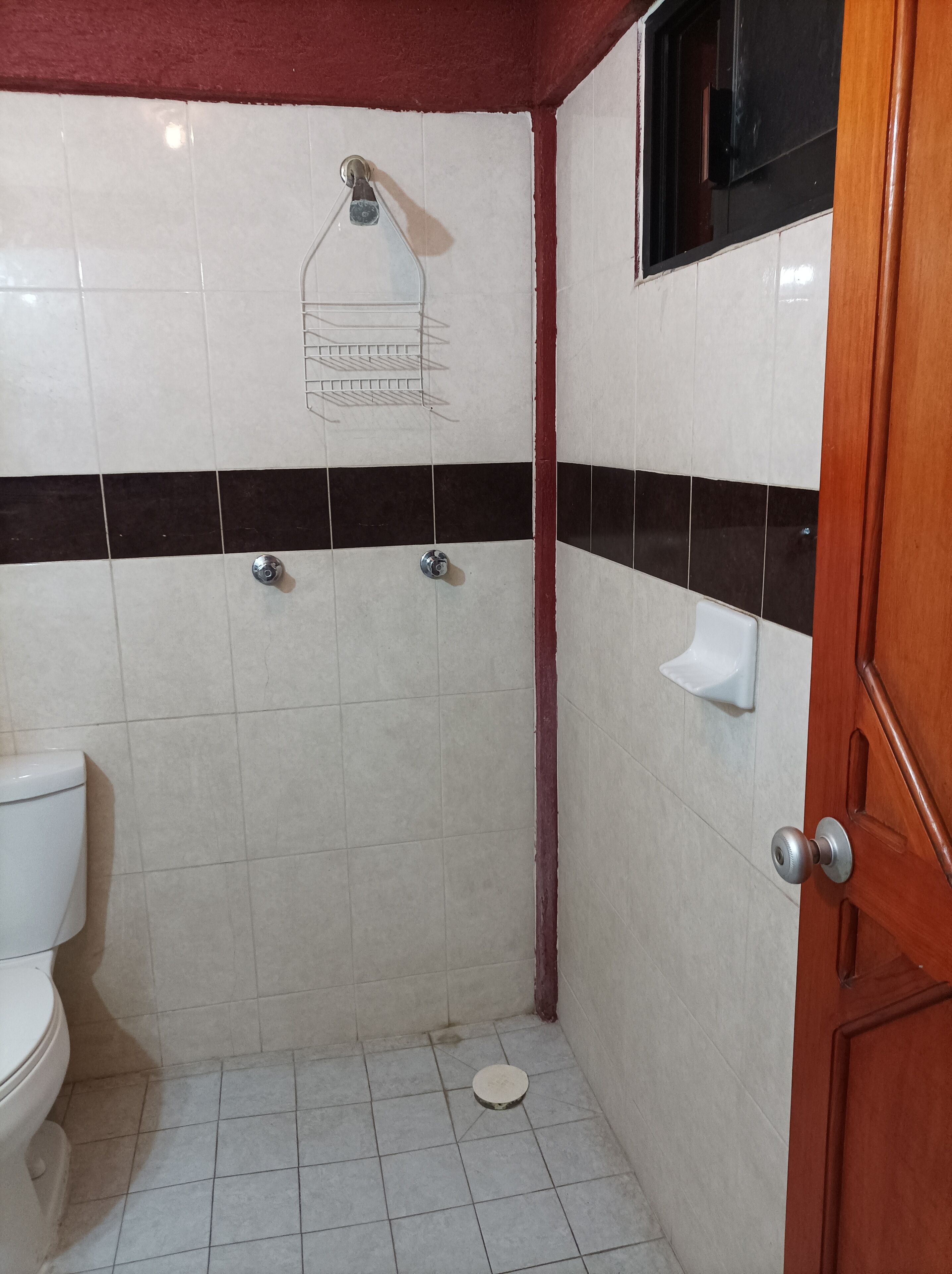 Un baño pequeño con azulejos, ducha, inodoro y puerta de madera.
