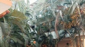 Une cour intérieure agrémentée de différents pots de plantes, notamment des palmiers et des plantes à fleurs, qui entourent un bâtiment.