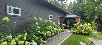 Smith Lake Cabin with Game Room