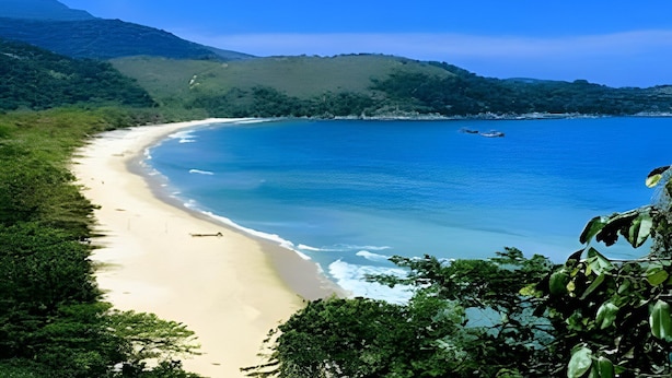 Ein Strand mit klarem, blauem Wasser, sandigem Ufer und üppiger Vegetation.