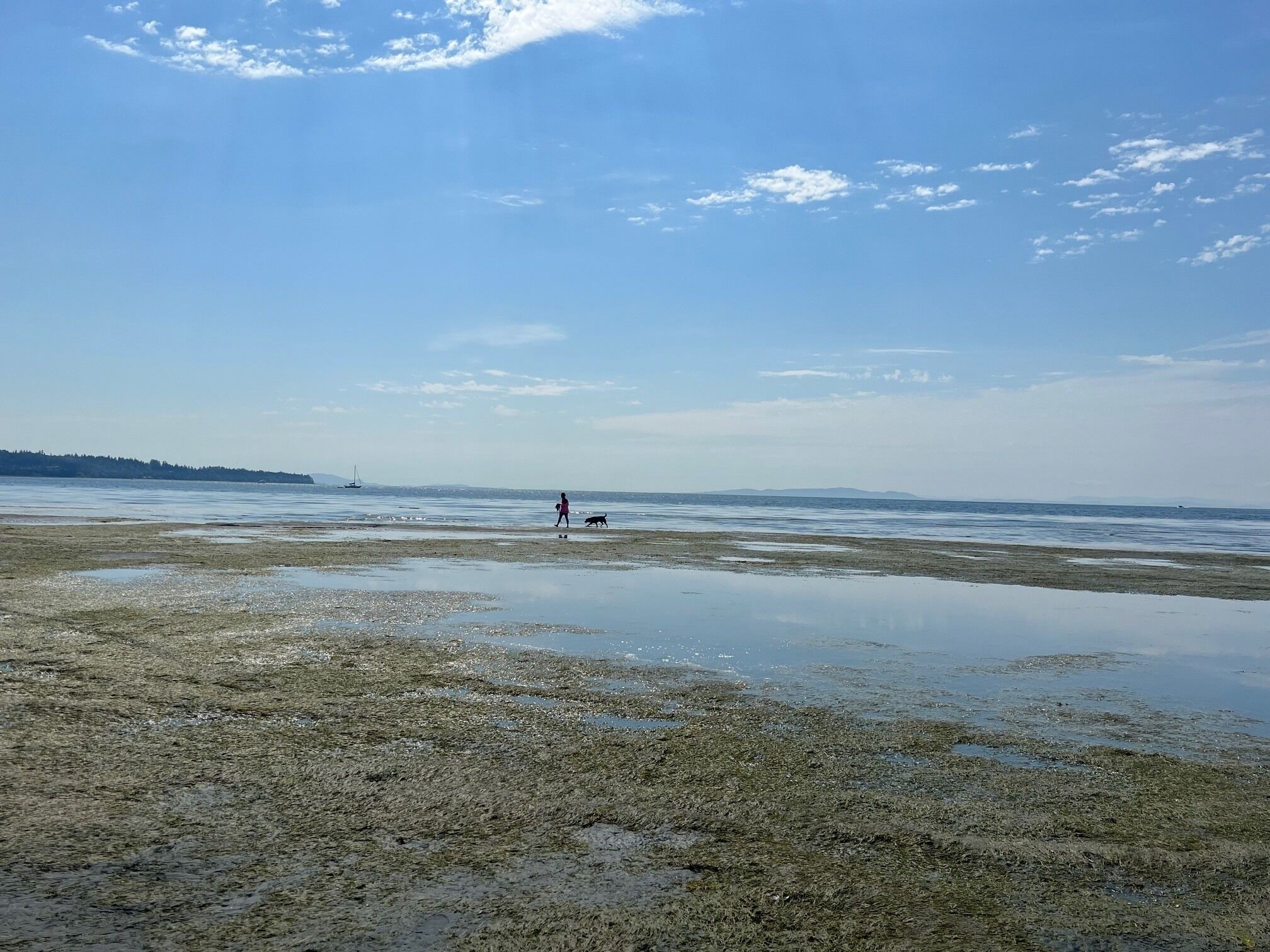 Beach nearby, sun loungers, beach towels
