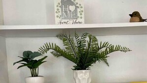 A white shelf with decorative items including a framed picture, two potted plants, and books. - *Hidden Gem Close 2 Everything * (Gadsden)