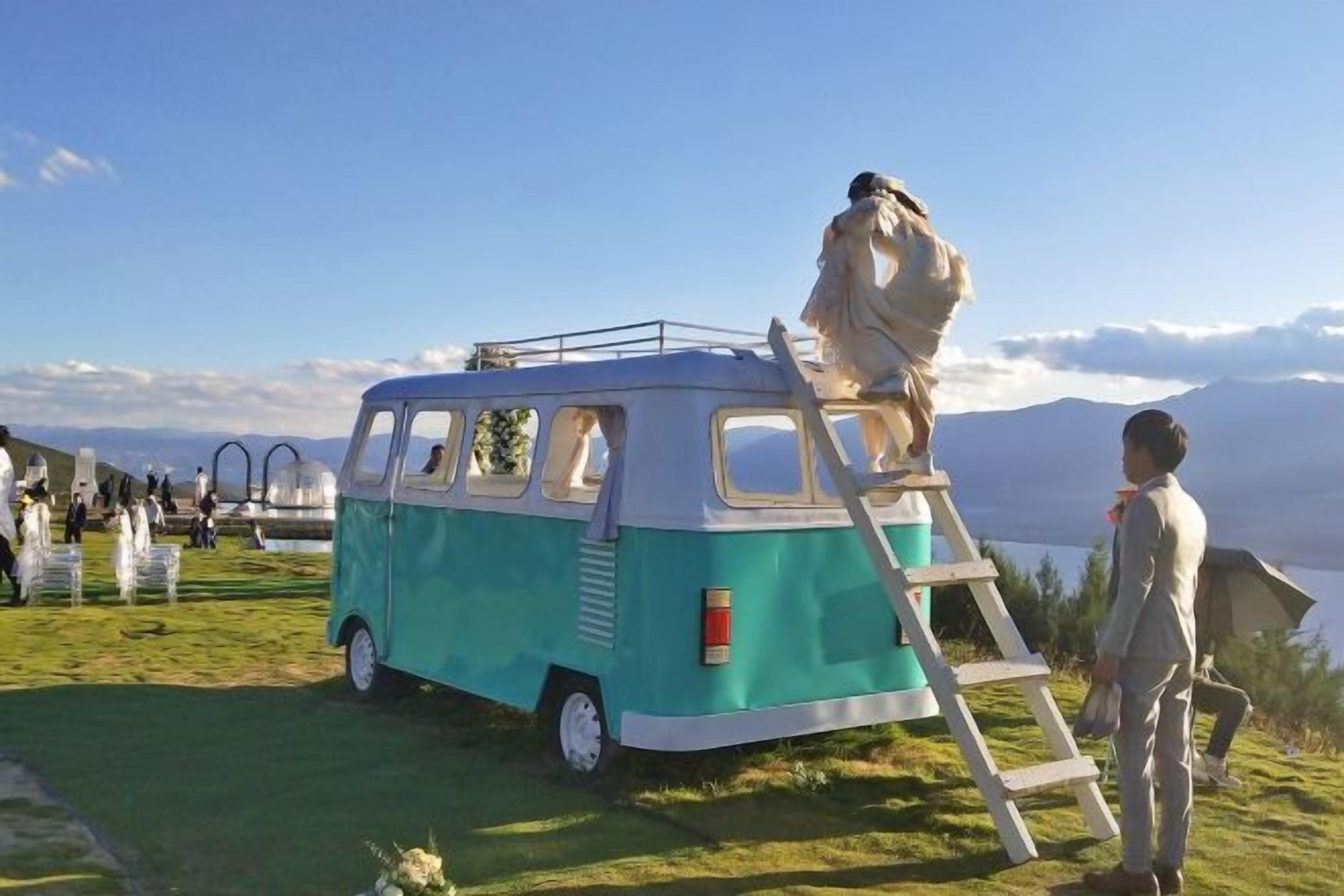 A vintage van with a statue on top, parked on a grassy area with a view of mountains.