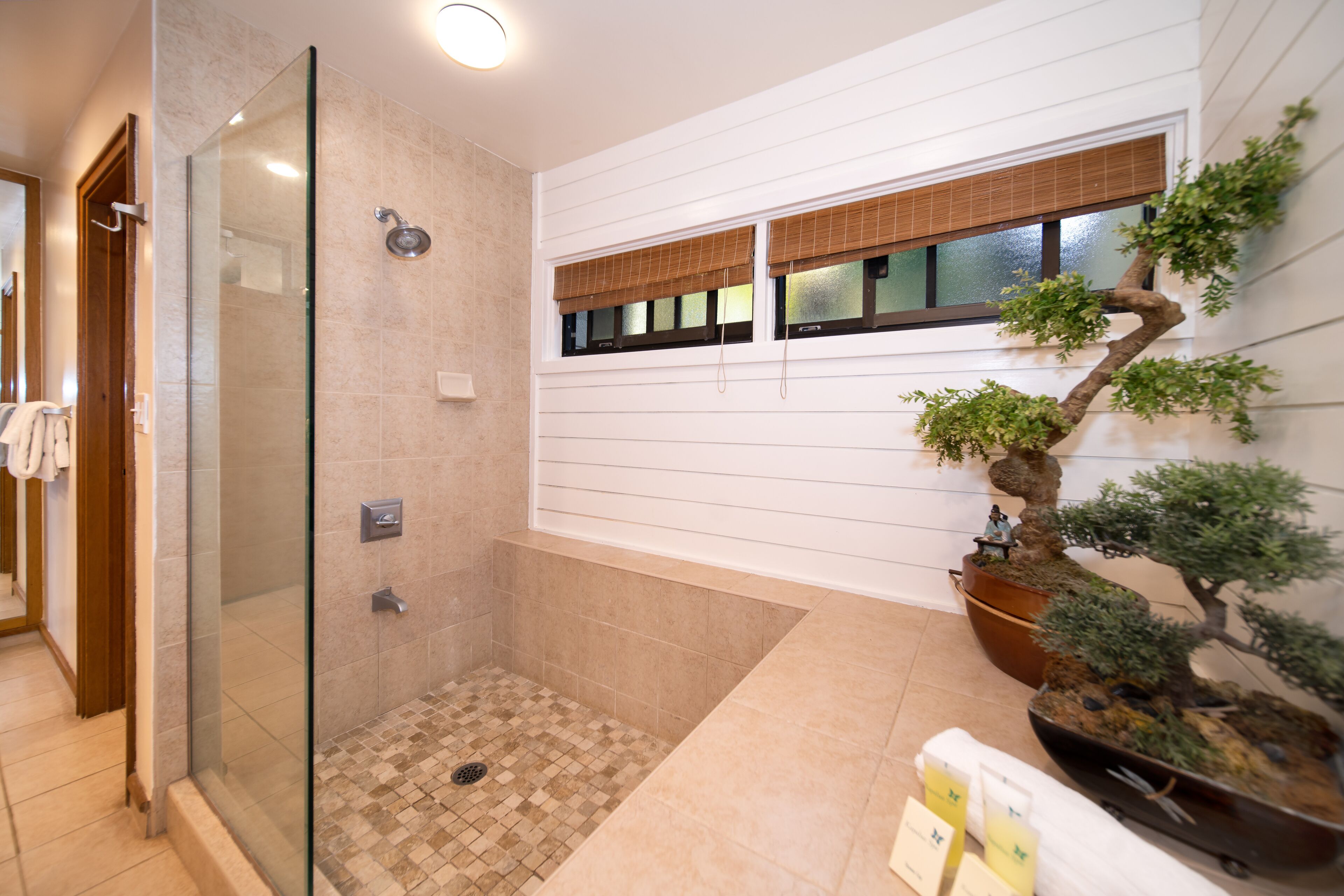 Kapalua Unit #2414 2 Bedroom Ridge Villas Ocean View