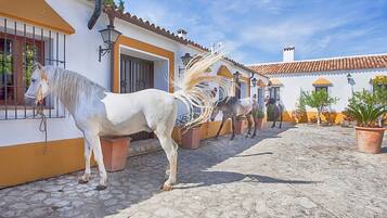 Parco della struttura