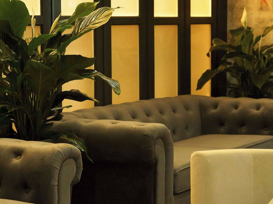 A room with a tufted sofa, a white armchair, and a large potted plant.