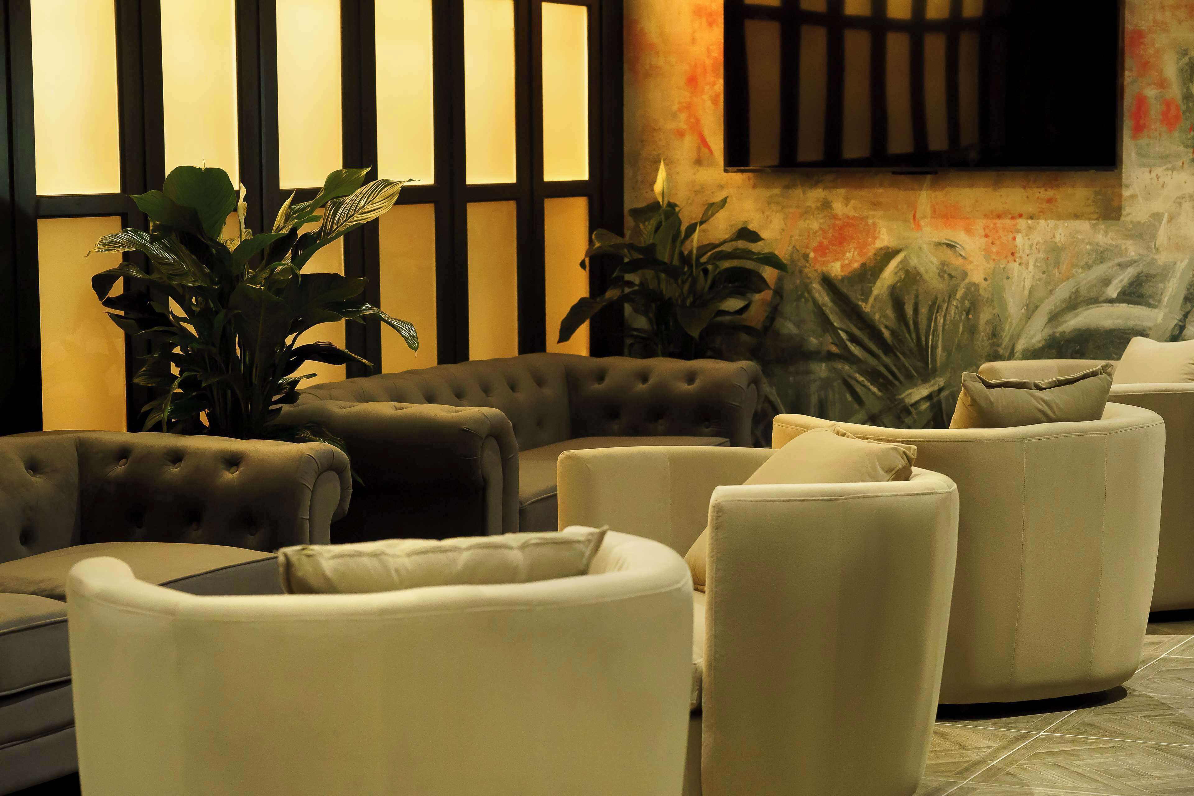 A modern living room with a sectional sofa, a round ottoman, and a large potted plant.