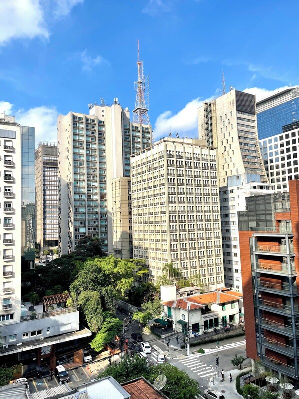 Vista desde la propiedad