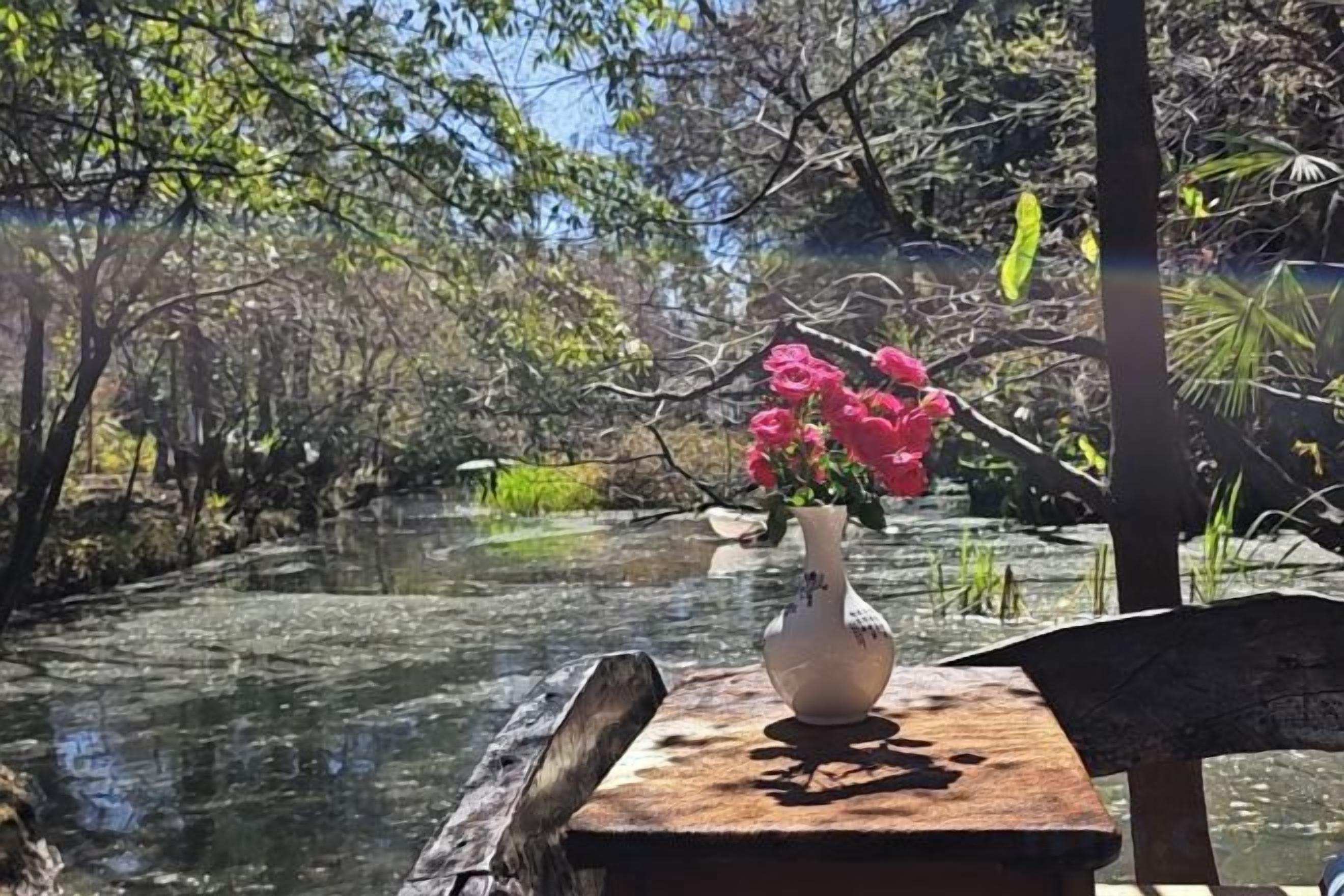 Un jarrón blanco con flores rosas sobre una mesa de madera junto a un cuerpo de agua tranquilo rodeado de árboles.
