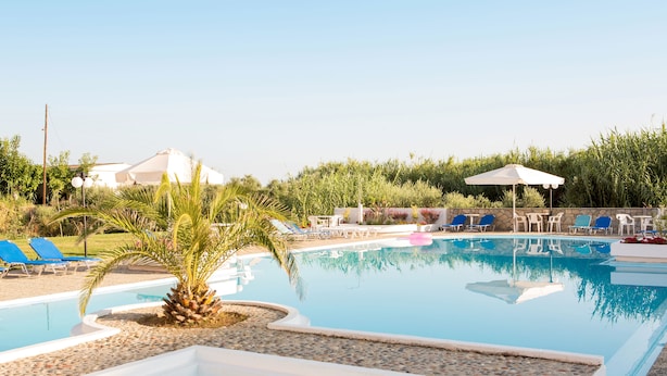 A swimming pool with lounge chairs and umbrellas, surrounded by greenery and a white building. - Albatross Hotel (Platanias)