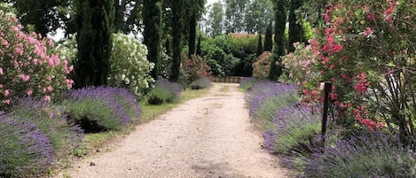 Overnattingsstedets uteområder