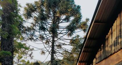 House in Campos do Jordão - 3 bedrooms and barbecue area