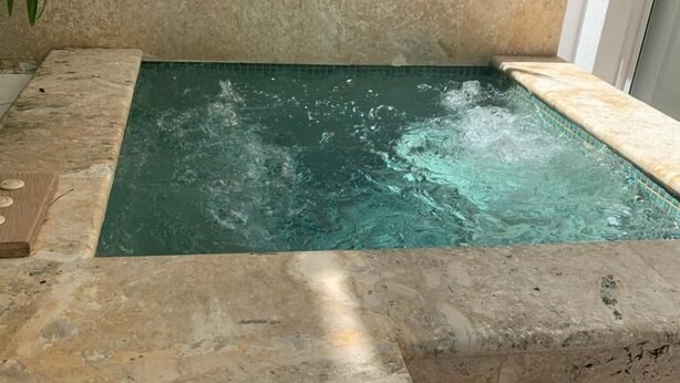 A spa area with a hot tub, stone steps, and a potted plant. - Punta Cana 2BR apt with private jacuzzi (Punta Cana)