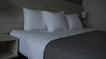 Habitación, 1 cama King size, para no fumadores | Escritorio, espacio para trabajar con laptop y wifi gratis