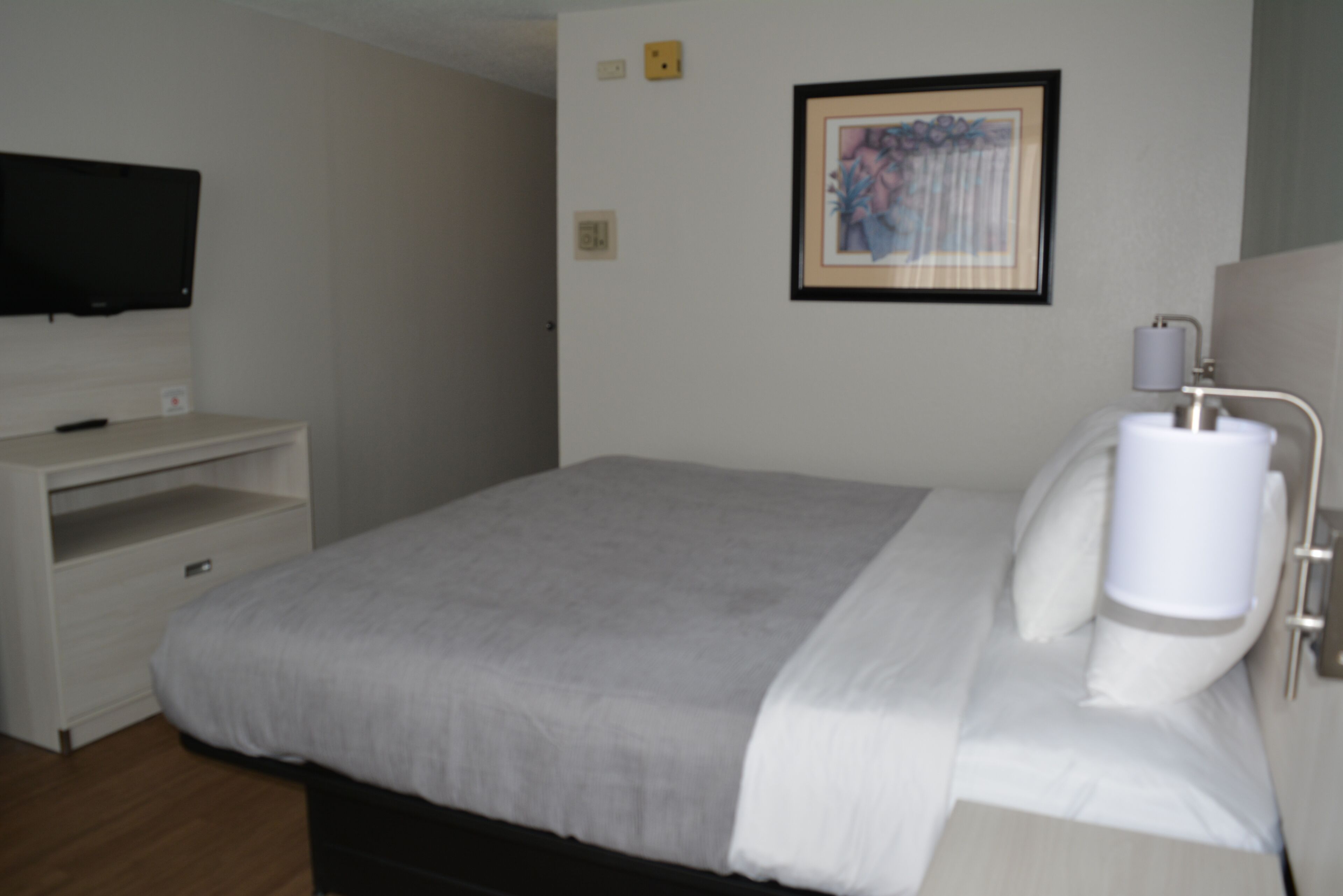 Un dormitorio ordenado con una cama, un televisor sobre un mueble, un cuadro en la pared y una mesita de noche con una lámpara.