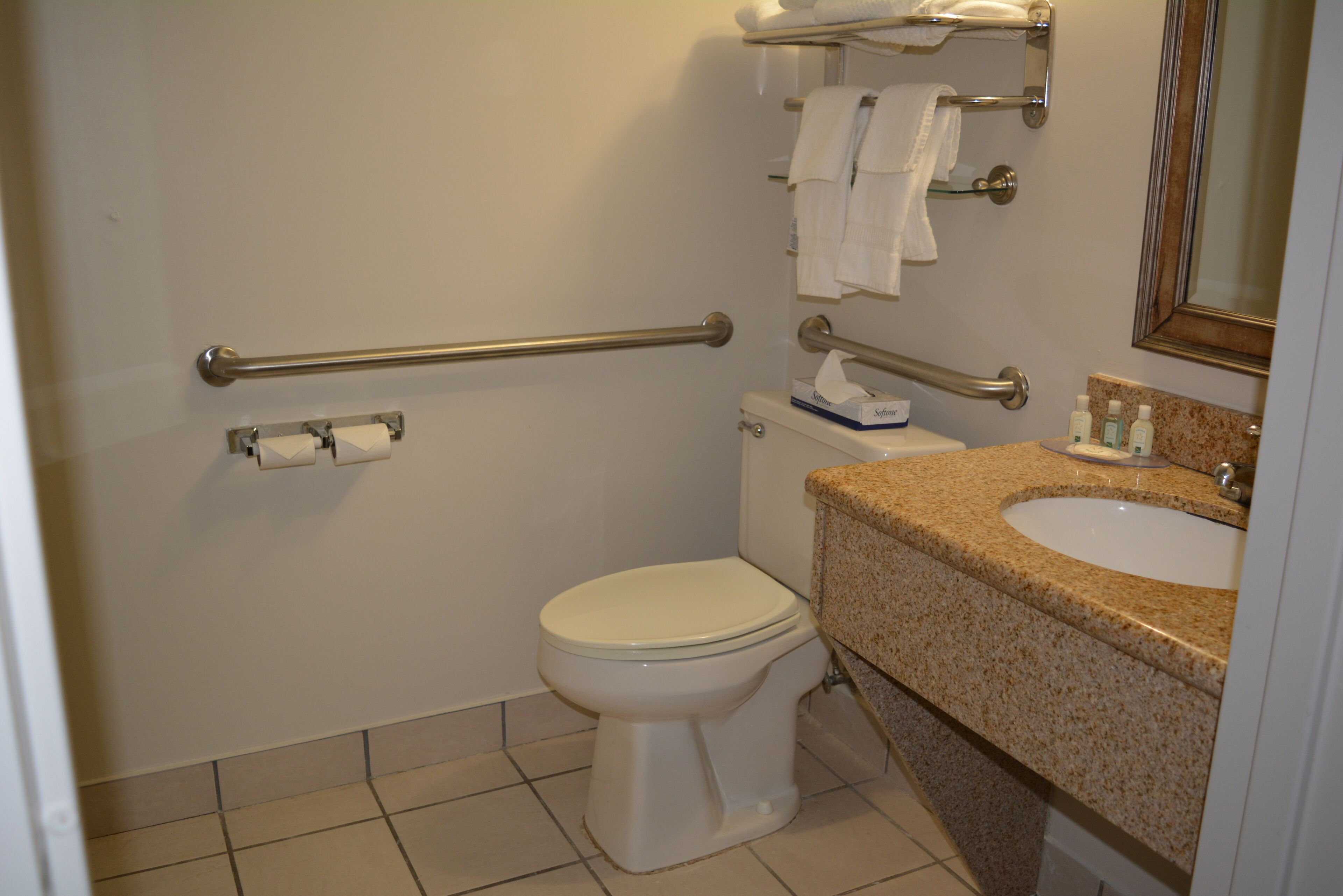 A bathroom with a toilet, grab bars, a sink, and a mirror.
