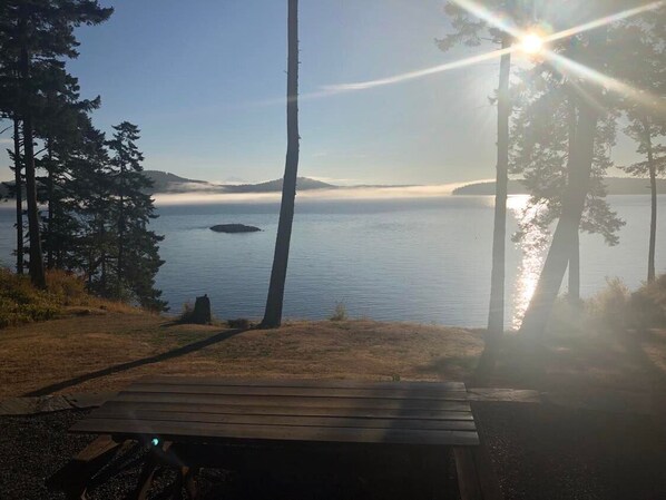 Property grounds - Adorable beach cabin within a few steps to a secluded beach! (Lopez Island)