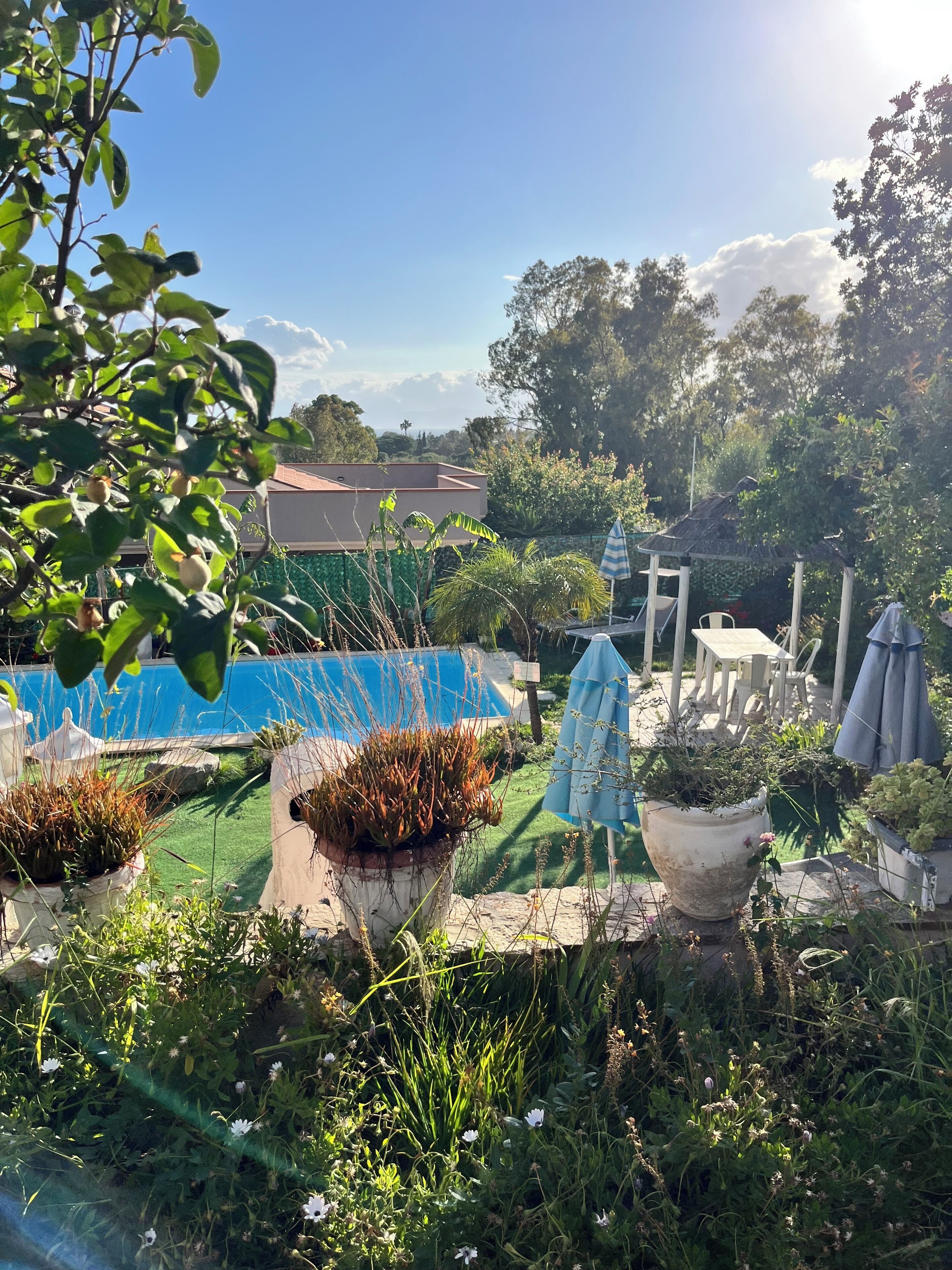 A garden with a pool, outdoor furniture, and potted plants.