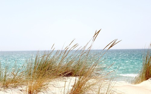 Seafront villa surrounded by garden
