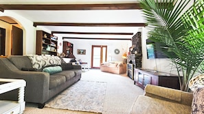 Smart TV, chimenea, reproductor de DVD y libros