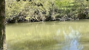 A calm river with dense greenery and trees in the background. - Prairie Creek Cabin -Ride SxS to trails from the cabin! Kayak and Fish the Creek (Mena)