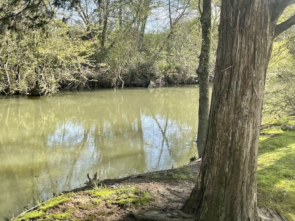 Un río tranquilo bordeado de árboles y orillas cubiertas de hierba.