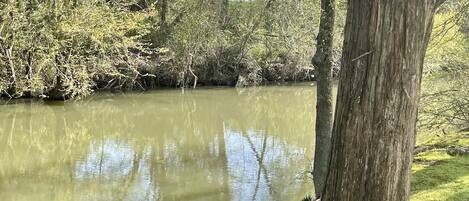 Un río tranquilo bordeado de árboles y orillas cubiertas de hierba.